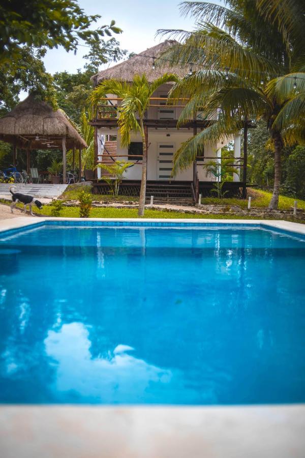 Royal Palm Bacalar Cabanas & Lagoon Club Εξωτερικό φωτογραφία